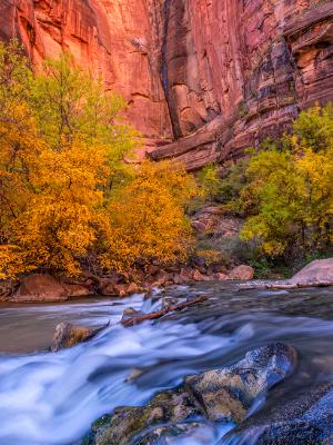 Red Cliffs Autumn Leaves and Blue Virgin River Waterfall