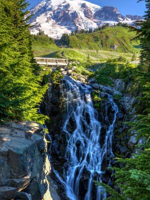 Silky Myrtle Falls