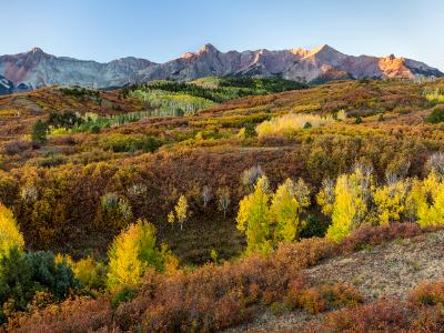 Morning Light on the Dallas Divide