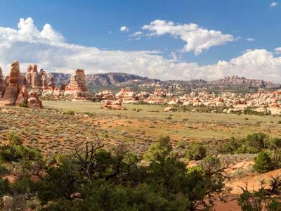 Chesler Park Needles Panorama