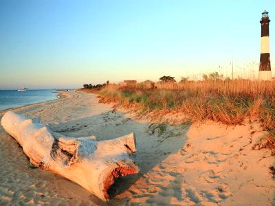 Driftwood and Lighthouse