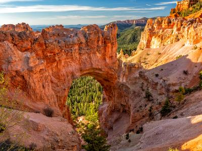 Bryce Canyon Natural Bridge in Morning Light