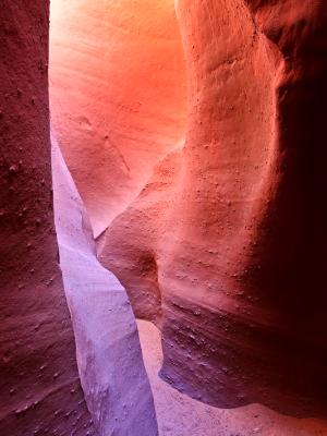 Spooky Gulch Colorful Walls