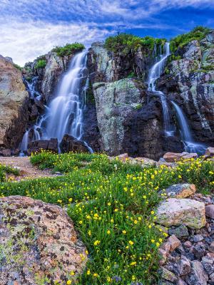 Timberline Cascade of Water and WIldflowers