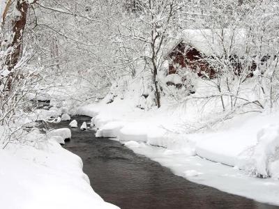 Vly Creek Snowbound Cabin