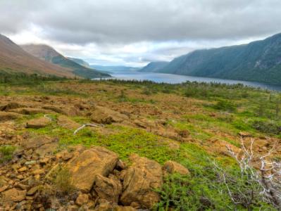 Trout River Pond Overlook