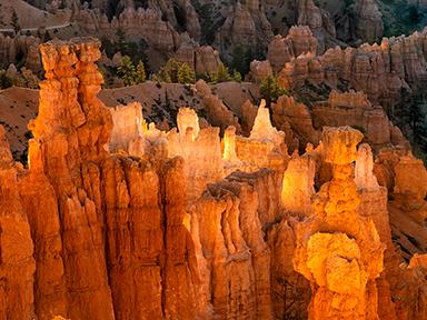 Bryce Canyon Workshop Reservations