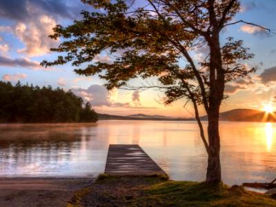 Tree and Dock Adirondacks Sunset