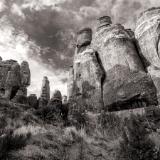 Fiery Furnace Fins Black and White