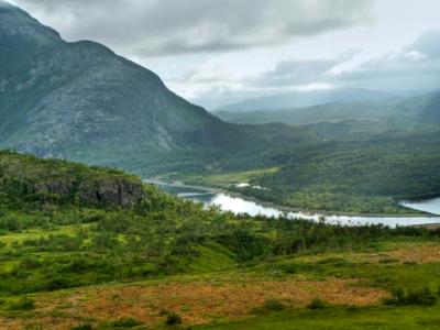 Trout River Pond Narrows