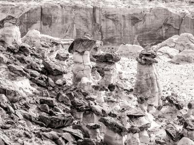 Rimrock Toadstools Black and White