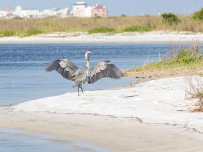 Beach Landing