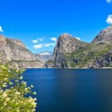 Hetchy Hetchy Spring