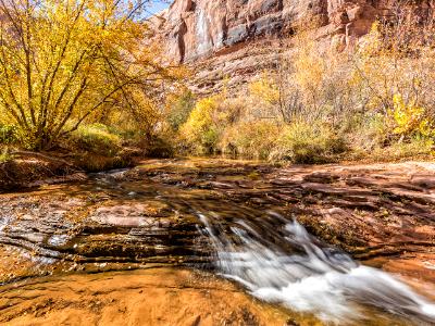 Sunny Grandstaff Canyon Stream Sunny Grandstaff Canyon Stream