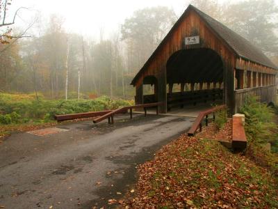 Pine Hill Bridge Fog