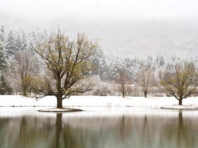 Catskills Winter Lake 