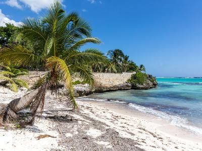 Spotts Beach Stone Wall