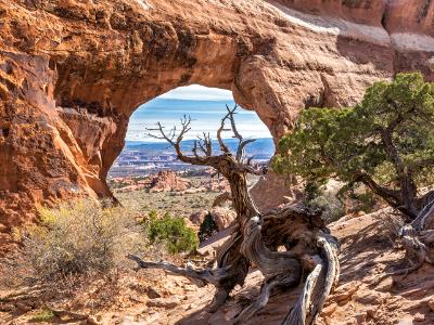 Partition Arch Ent Partition Arch Ent