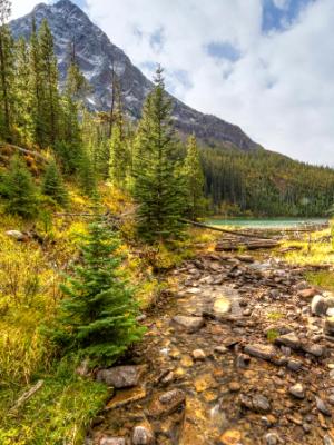 Mountain Stream below Vista Lake