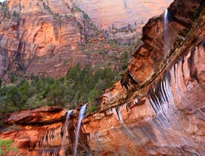 Zion Canyon Waterfalls
