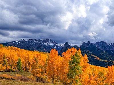 High Mesa Aspen Grove Panorama (click for full width)